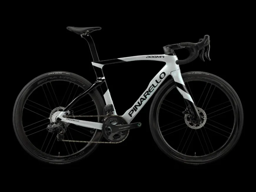 Pinarello Dogma F Frameset Speedster Silver Heren